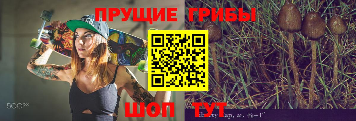 Галлюциногенные грибы GOLDEN TEACHER Азов